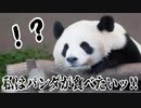 私はパンダが食べたいッ!!