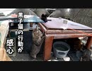 嫉妬？「猫じゃらしに付き合うな」と子猫を呼ぶ母猫に、兄弟姉妹がそれぞれ取った行動【野良猫の親子愛】