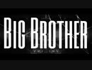 Big Brother / NqnqRemix feat.結月ゆかり