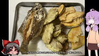 彩の国探訪録 番外編「ちょっとそこまで釣～りんぐ～花見カレイを狙って～」【結月ゆかり車載】