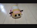 動くモルカーを作ってみた