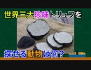 (雑学)世界三大珍味トリュフを探せる動物は何？(トリビア)