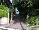 「YOU日坂」をバイオリンで弾いてみた