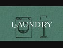 Laundry  /  v.flower