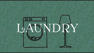 Laundry  /  v.flower