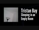 【ダウンテンポ】Tristan Bay - Sleeping in an Empty Room（トリスタンベイ「虚しい部屋で眠る」）