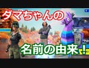 【フォートナイト考察？】ダマちゃんとイマジンドオーダーの関係！？【ゆっくり実解/説況】