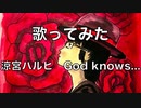 【歌ってみた】涼宮ハルヒ「God knows...」