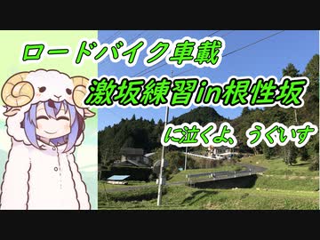 【ロードバイク車載】根性坂に泣くよ、うぐいす【鳴花ヒメ・ミコト】