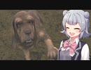 【theHunter: Call of the Wild】暇を持て余したボイチェビ達の狩り:13頭目【Cevio+VOICEROID実況プレイ】