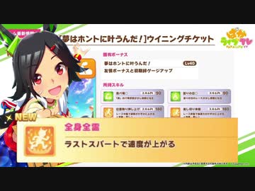 チケゾー、全身全霊くれないか？