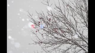 雪の街 / 初音ミク