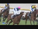 石和特別_ダイワクンナナ