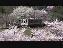 【のら】撮り鉄のお花見2021
