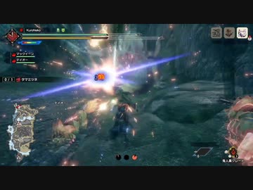 【MHRise】タマミツネ　片手剣　2分台