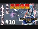 百竜夜行の真実#10【モンハンライズ】