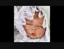 リボーンベビードール（Reborn Baby Doll）【ゆっくり朗読】