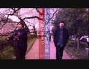 【違和感仕事しろ】「桜」ソング6曲混ぜてアレンジメドレー