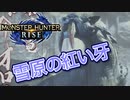 【双剣第一】モンスターハンターRISE#17（里クエ★４ベリオロス）