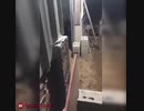 大 量 放 出.happiness