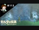 【実況】マスターモードでやりこみサバイバル生活！！　Part113【ゼルダの伝説　BotW】