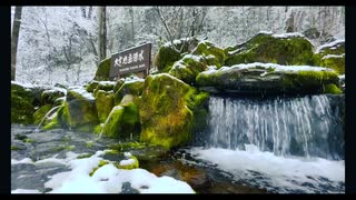 大雪旭岳原水-湧き水でお茶入れてみた