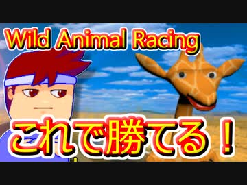 バーチャルいいゲーマー　佳作選　今すぐ勝ちたい！＊野生動物のレース＊「＊エジプト＊の第一障害物裏アイテムボックス」編。