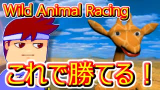 バーチャルいいゲーマー　佳作選　今すぐ勝ちたい！＊野生動物のレース＊「＊エジプト＊の第一障害物裏アイテムボックス」編。