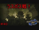 【実況】MHR#40　雷神龍　ナルハタタヒメ