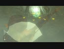 【縛り実況】再走かるしばマスモブレワイ祠巡りとコログ探し編part199。【的な何か】
