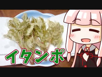 茜のイタンポ天ぷら ‐ 琴葉御膳 #21