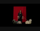 PVRIS - Hallucinations