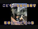 こどもの国線長津田〜こどもの国間前面展望