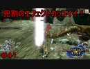 【実況】MHR#41　兜割始めました！
