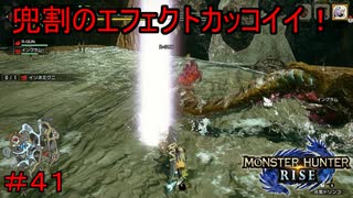 【実況】MHR#41　兜割始めました！
