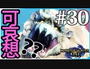 ハンマー使ってだらだら進んでいくモンハンライズ実況風【モンスターハンターライズ MONSTER HUNTER RISE】集会所 #30
