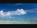 今夏を否定せよ！【初音ミク】