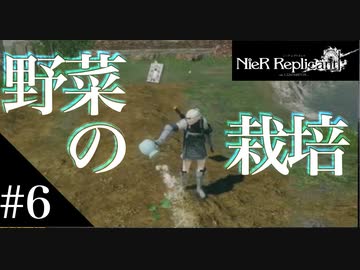 三人兄弟の妹が実況する【NieR Replicant ver.1.22】#6