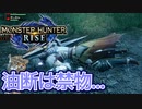 【双剣第一】モンスターハンターRISE#18（特別許可試験アケノシルム＆リオレイア）