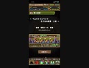 【パズドラ】サムライスピリッツ上級ソロ周回編成【ダンボ12】