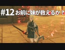 【実況】お前に妹が救えるか？【ニーアレプリカントver.1.22474487139...】ネタバレあり #12