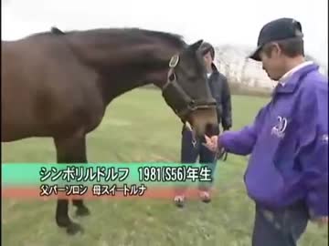 人気の シンボリルドルフ 動画 136本 ニコニコ動画