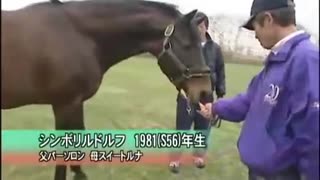 人気の シンボリルドルフ 動画 136本 ニコニコ動画