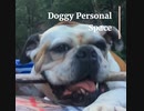 How to introduce your dog with other dogs