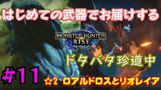 【MHRise】#11 はじめての武器でお届けするドタバタ珍道中 【☆2 ロアルドロスとリオレイア】