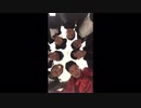 YouTube FANFESTでまさかのRADIO FISHさんとコラボ！？ 〜イベント映像あり〜