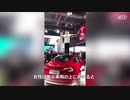 コバンザメの終わりの始まり・媚びを売るテスラ、骨までしゃぶる中国