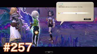 気持ちだけ移住 ドラゴンネスト実況　part257