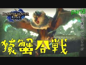 【実況】独りで狩りつくすモンスターハンターライズpart8
