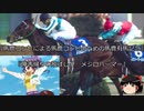 【競馬】ゆっくりさんと未来に語り継ぎたい名馬たち その016【ゆっくり朗読】